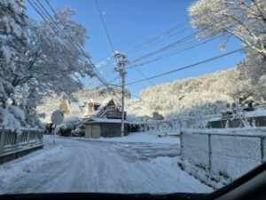 毎年雪がふると思うこと