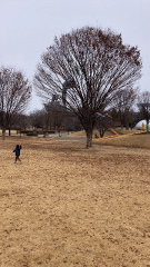 貸し切り公園（雪）